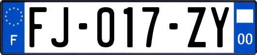 FJ-017-ZY