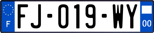 FJ-019-WY