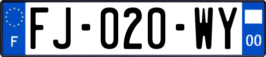 FJ-020-WY