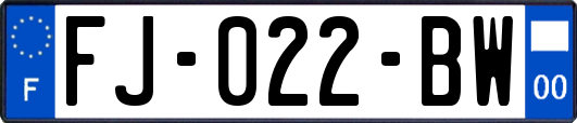 FJ-022-BW