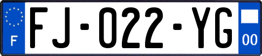 FJ-022-YG