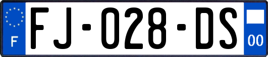 FJ-028-DS