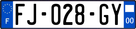 FJ-028-GY