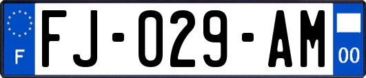 FJ-029-AM