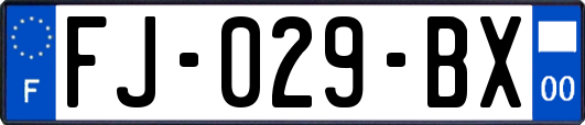 FJ-029-BX