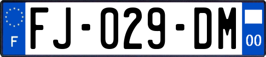 FJ-029-DM