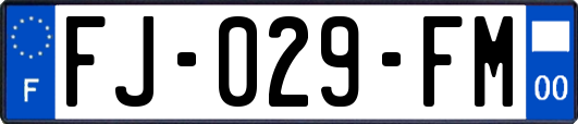 FJ-029-FM