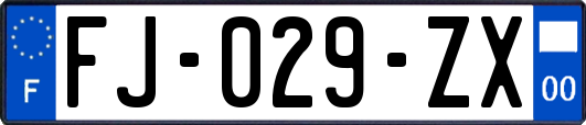 FJ-029-ZX