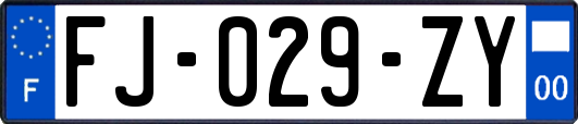 FJ-029-ZY