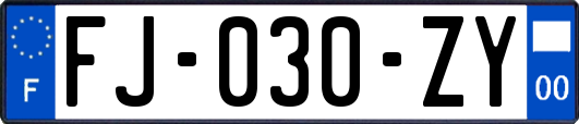 FJ-030-ZY