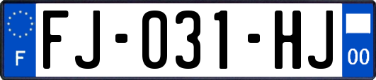 FJ-031-HJ