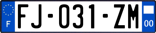 FJ-031-ZM