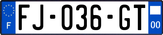 FJ-036-GT