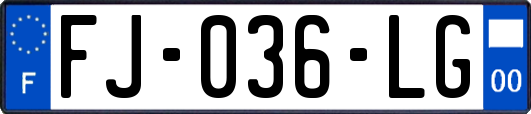 FJ-036-LG