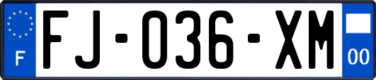 FJ-036-XM