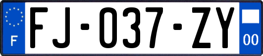 FJ-037-ZY