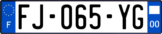 FJ-065-YG