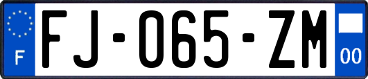 FJ-065-ZM