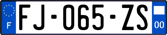 FJ-065-ZS