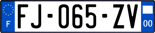 FJ-065-ZV