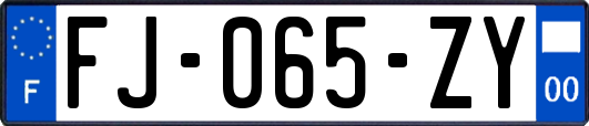 FJ-065-ZY