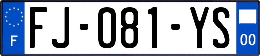 FJ-081-YS