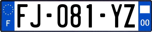 FJ-081-YZ