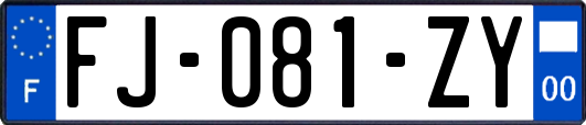 FJ-081-ZY