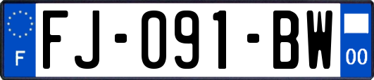 FJ-091-BW