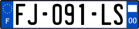 FJ-091-LS