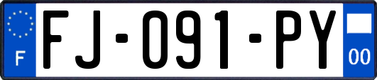 FJ-091-PY