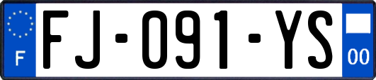 FJ-091-YS