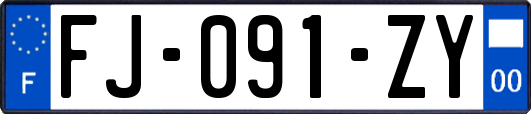 FJ-091-ZY