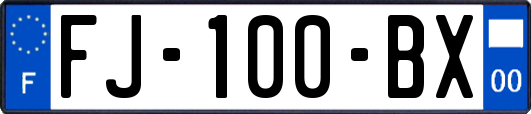 FJ-100-BX