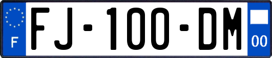 FJ-100-DM