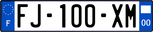 FJ-100-XM