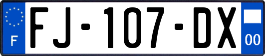 FJ-107-DX