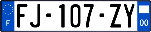 FJ-107-ZY