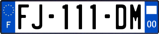 FJ-111-DM