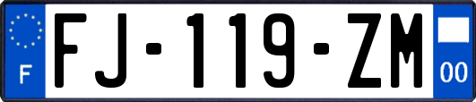 FJ-119-ZM