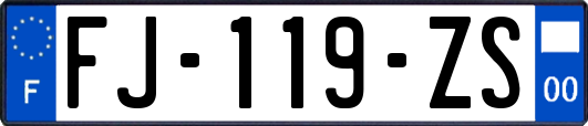 FJ-119-ZS