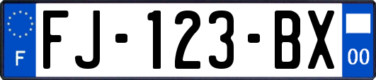 FJ-123-BX