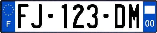 FJ-123-DM