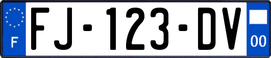 FJ-123-DV