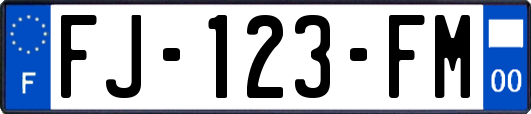 FJ-123-FM