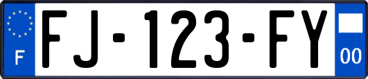 FJ-123-FY