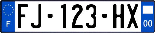 FJ-123-HX