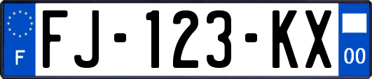 FJ-123-KX
