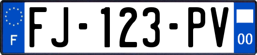 FJ-123-PV