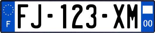 FJ-123-XM